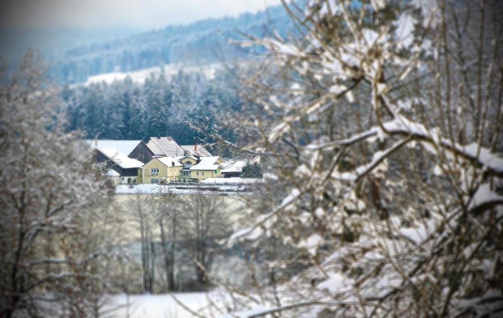Hotel Der Seehof Hauzenberg Buitenkant foto